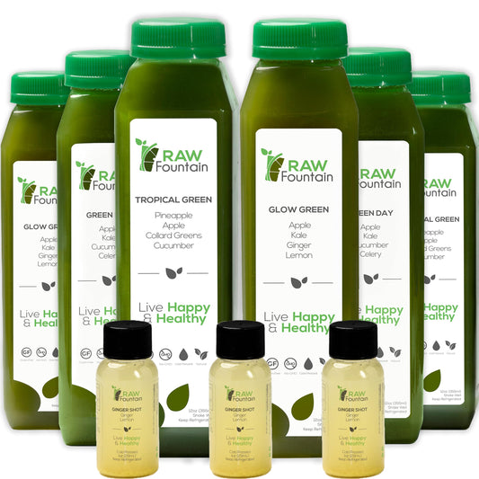 1 Day Green Juice Cleanse by Raw Fountain, All Natural Raw, Vegan Detox, Cold Pressed Raw Fountain