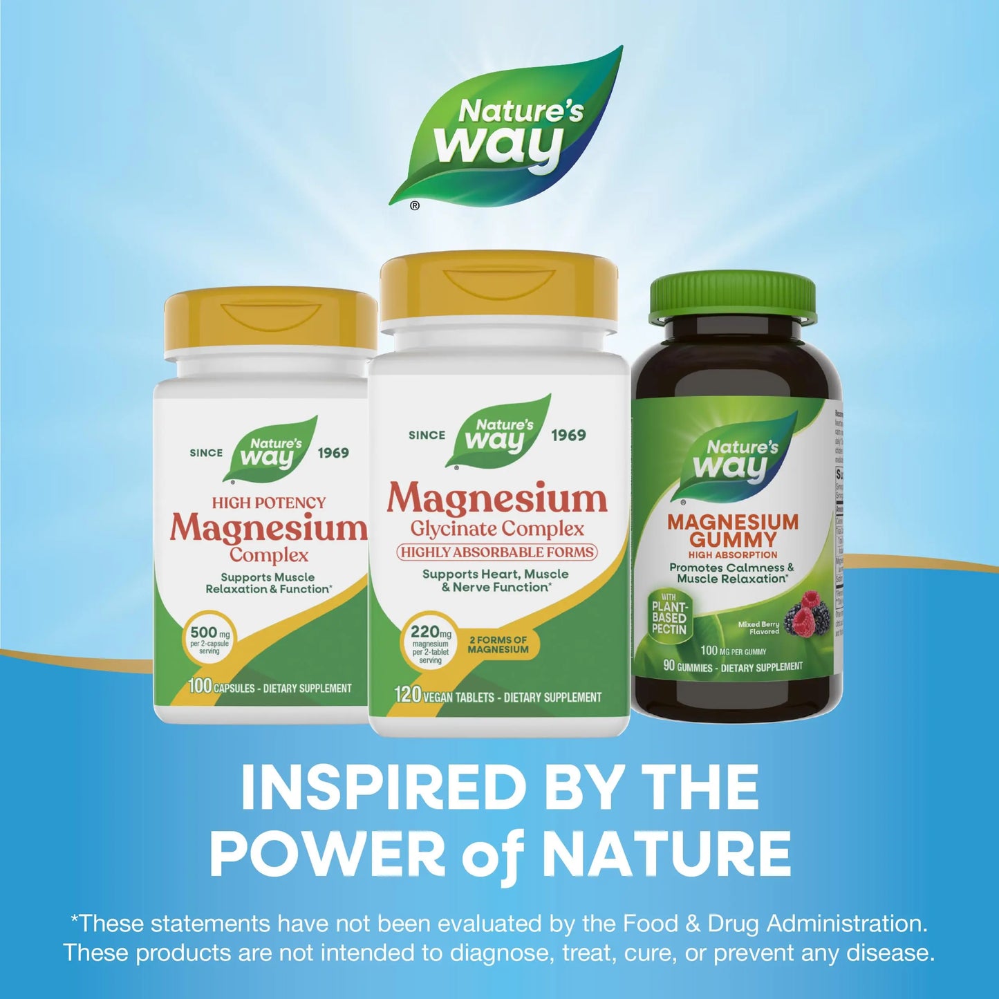 Nature's Way Magnesium Glycinate Complex, Supports Heart, Muscle, Nerve Function*, Highly Absorbable, 220 mg per 2-Tablet Serving, No Gluten, Vegan, 120 Tablets Nature's Way buy supplements Au