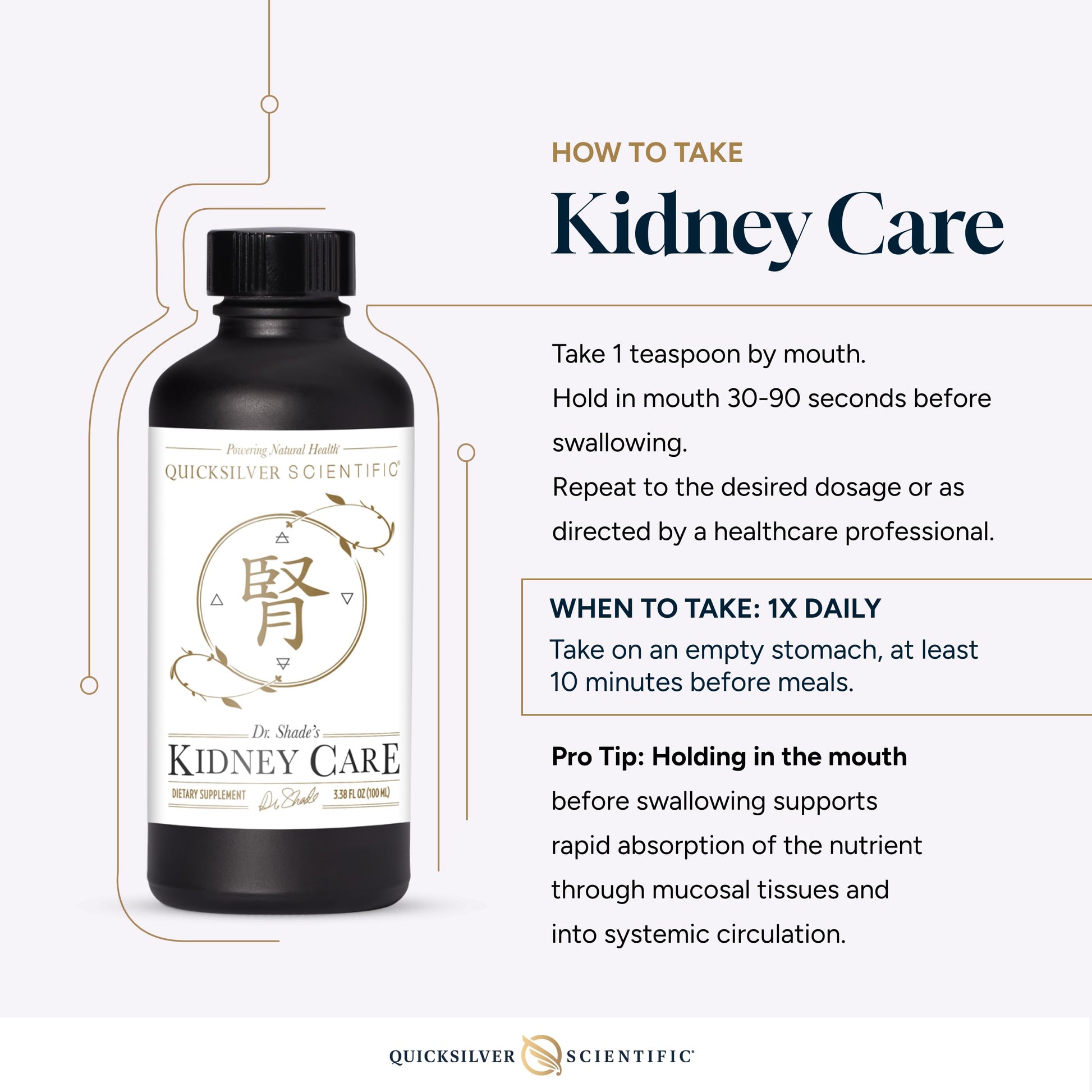 Quicksilver Scientific Kidney Care - Kidney Cleanse & Lymphatic Drainage Supplements - Astragaloside IV Extract, Zhu Ling, Goldenrod, Ferulic Acid, He Shou Wu & Dandelion Leaf (3.38oz / 100ml) Quicksilver ScientificBuy Supplements Australia