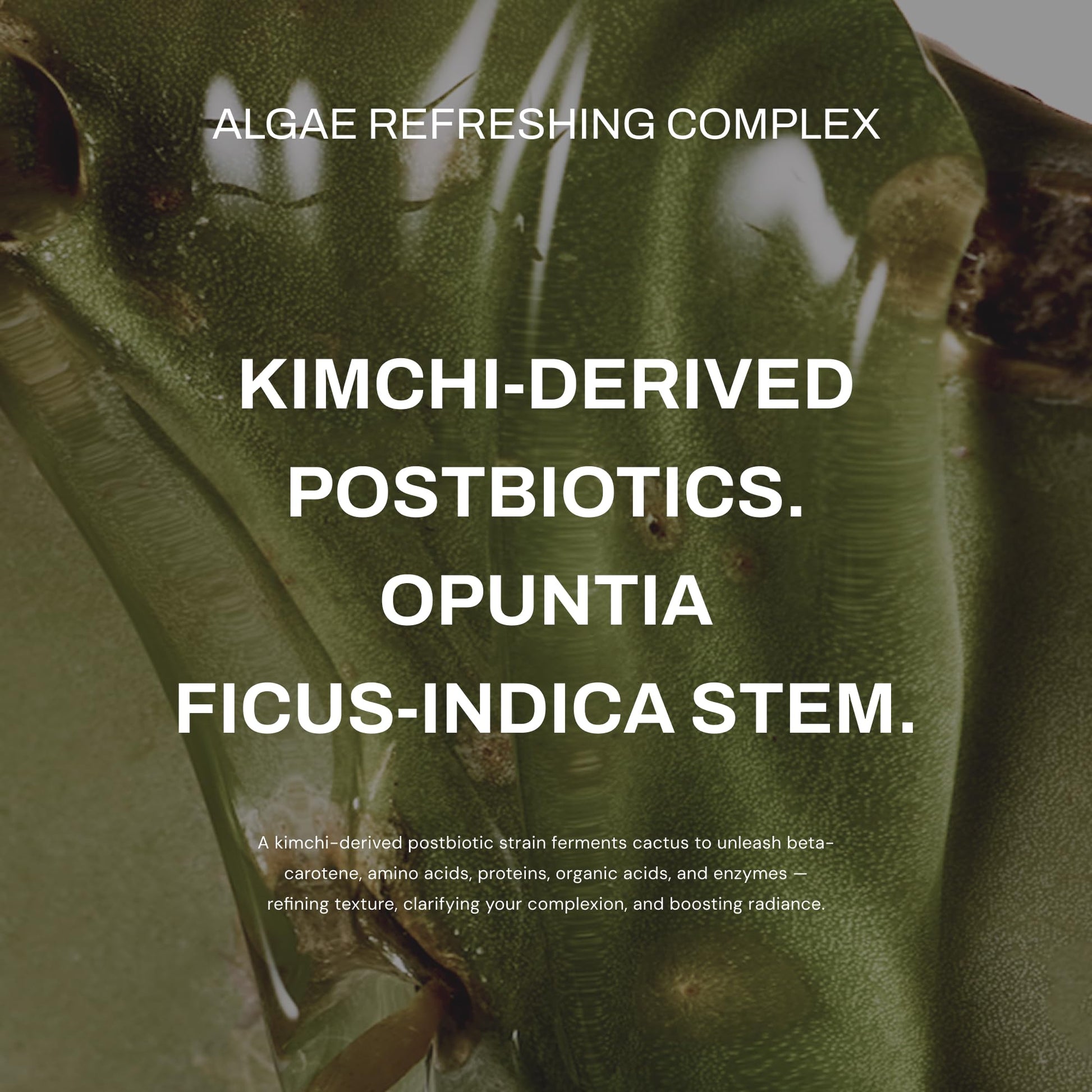 Whamisa Organic Cactus Magic Serum, Anti-Wrinkle & Brightening, Renewing Care, Skin Barrier Support, Fermented Ingredients, Hydrating, Facial Ampoule, Pore Refining, Korean Skin Care (32ml) Whamisa buy supplements Au