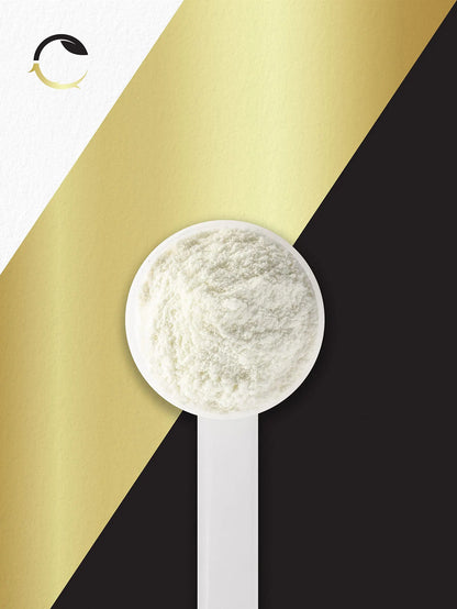 Carlyle Stim Free Pre Workout Powder | BCAA Amino Acids | 7g BCAA | Fruit Punch Flavor Carlyle