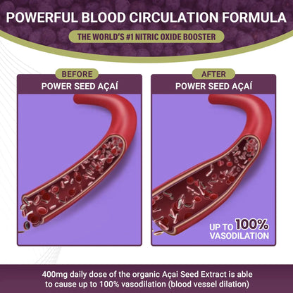 POWER SEEDAÇAÍ New Patented Nitric Oxide Supplement -Increase Blood Flow & Circulatio POWER SEEDAÇAÍ