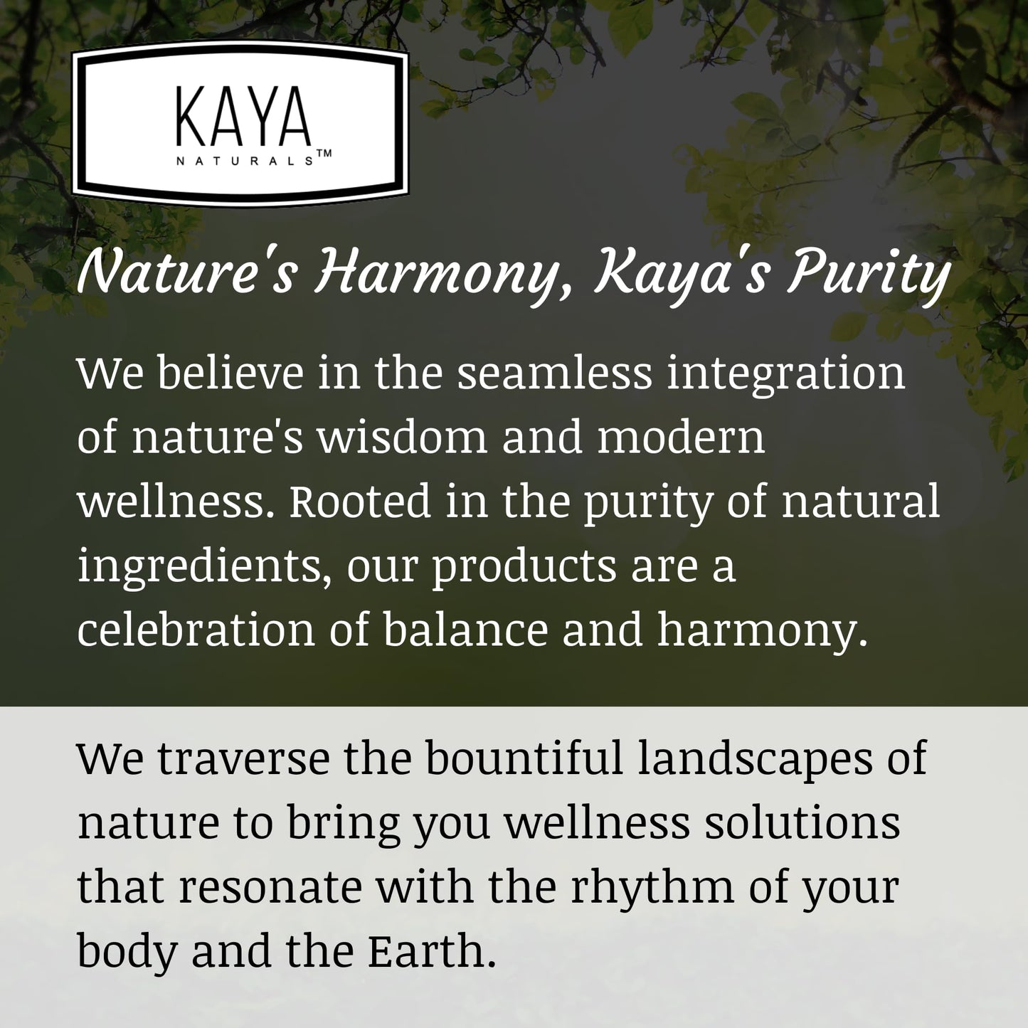 Kaya Naturals - Natural Herbal Support Vitamin Supplement are Designed to Help You find Balance and Relaxation in Your Daily Routine - Vitamin Supplement - 180 Capsules Kaya NaturalsBuy Supplements Australia