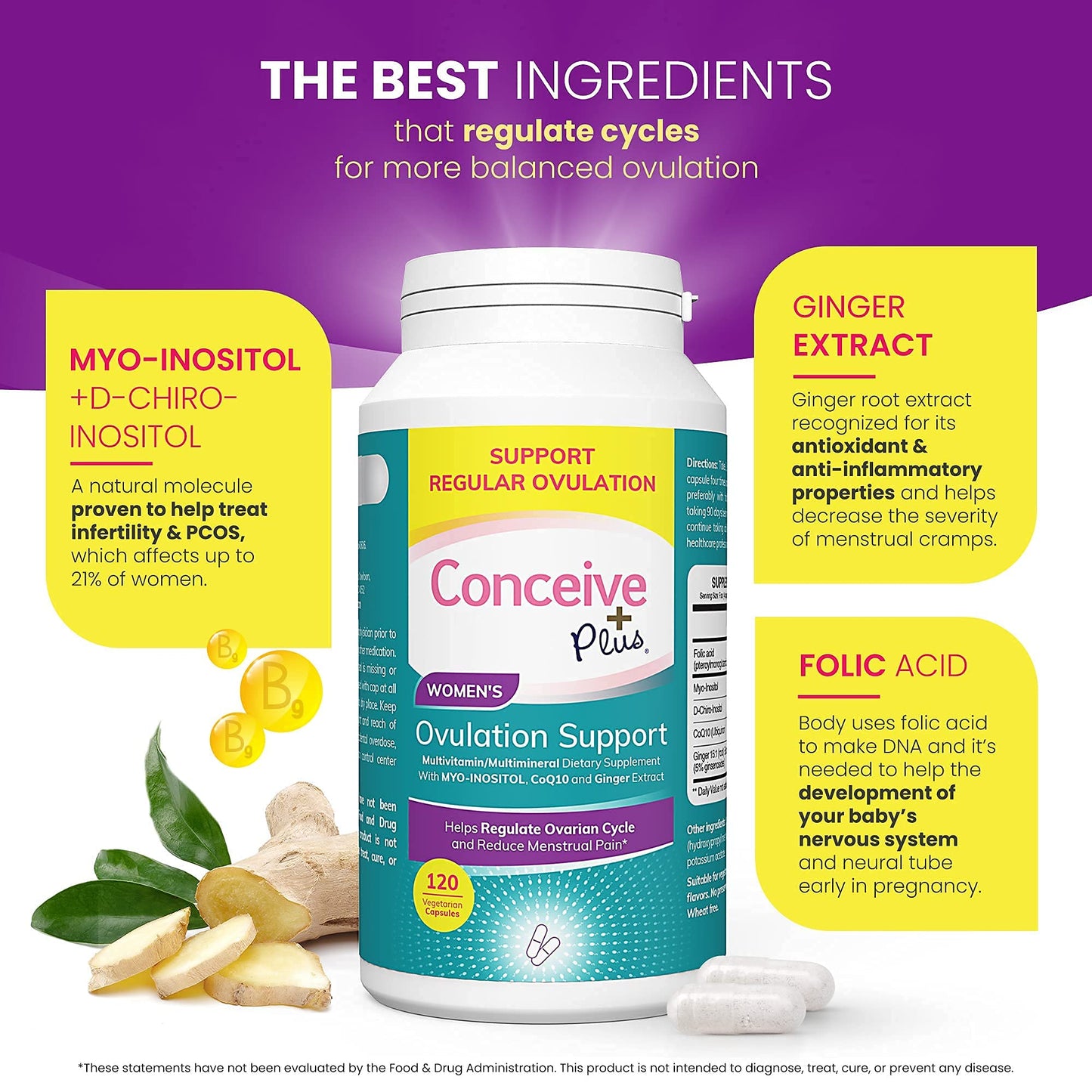 CONCEIVE PLUS Complete Fertility Bundle - Trying To Conceive Couples Kit TTC Fertility Supplements CONCEIVE PLUS