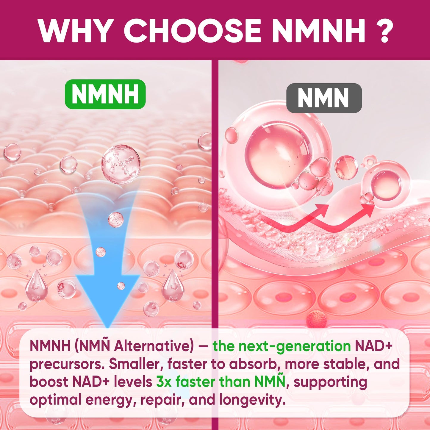 NMNH Gummies 300MG for Longevity with Urolithin A, Polyphenol Blend, Resveratrol, NAD+ Supplement for Women & Men Boost NAD+ Levels, Optimized Aging, Cell, DNA Repair, Energy, Focus, Sugar Free, 60cts NextdiaBuy Supplements Australia