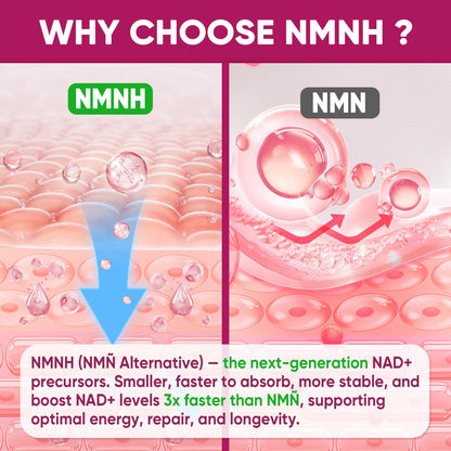 NMNH Gummies 300MG for Longevity with Urolithin A, Polyphenol Blend, Resveratrol, NAD+ Supplement for Women & Men Boost NAD+ Levels, Optimized Aging, Cell, DNA Repair, Energy, Focus, Sugar Free, 60cts NextdiaBuy Supplements Australia