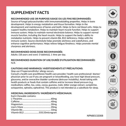 REJUVE+ Focus & Clarity Nootropic Supplement – Brian Boost | L-Theanine, Caffeine, Lion’s Mane, Magnesium, Vitamin B6 & B12 | Brain Support, Memory, Focus & Energy | Mint Flavor (30 Chewables) (1) REJUVE+ buy supplements Au