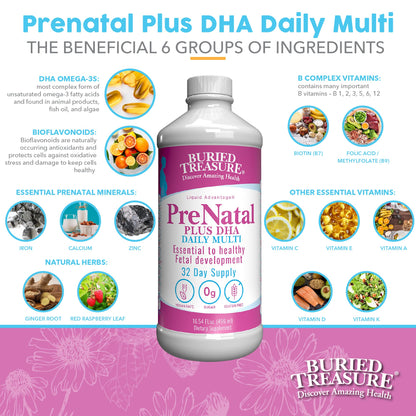 Buried Treasure Prenatal Plus DHA Complete, 16 oz, Natural DHA Omega3 Iron Buried Treasure