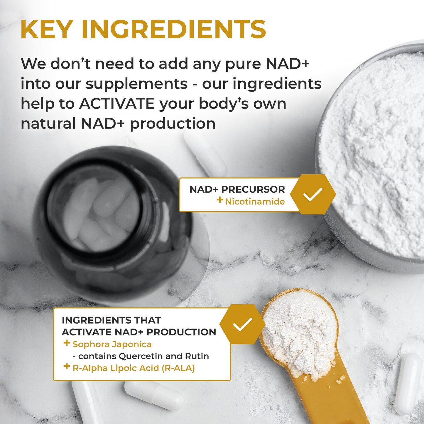 Nuchido Time+ NAD Supplement for Men & Women - Advanced Formula for Healthy Aging, Energy, Focus, Cellular Health & Longevity - Nicotinamide, Alpha Lipoic Acid, Quercetin - 90 Capsules Nuchido Time+Buy Supplements Australia