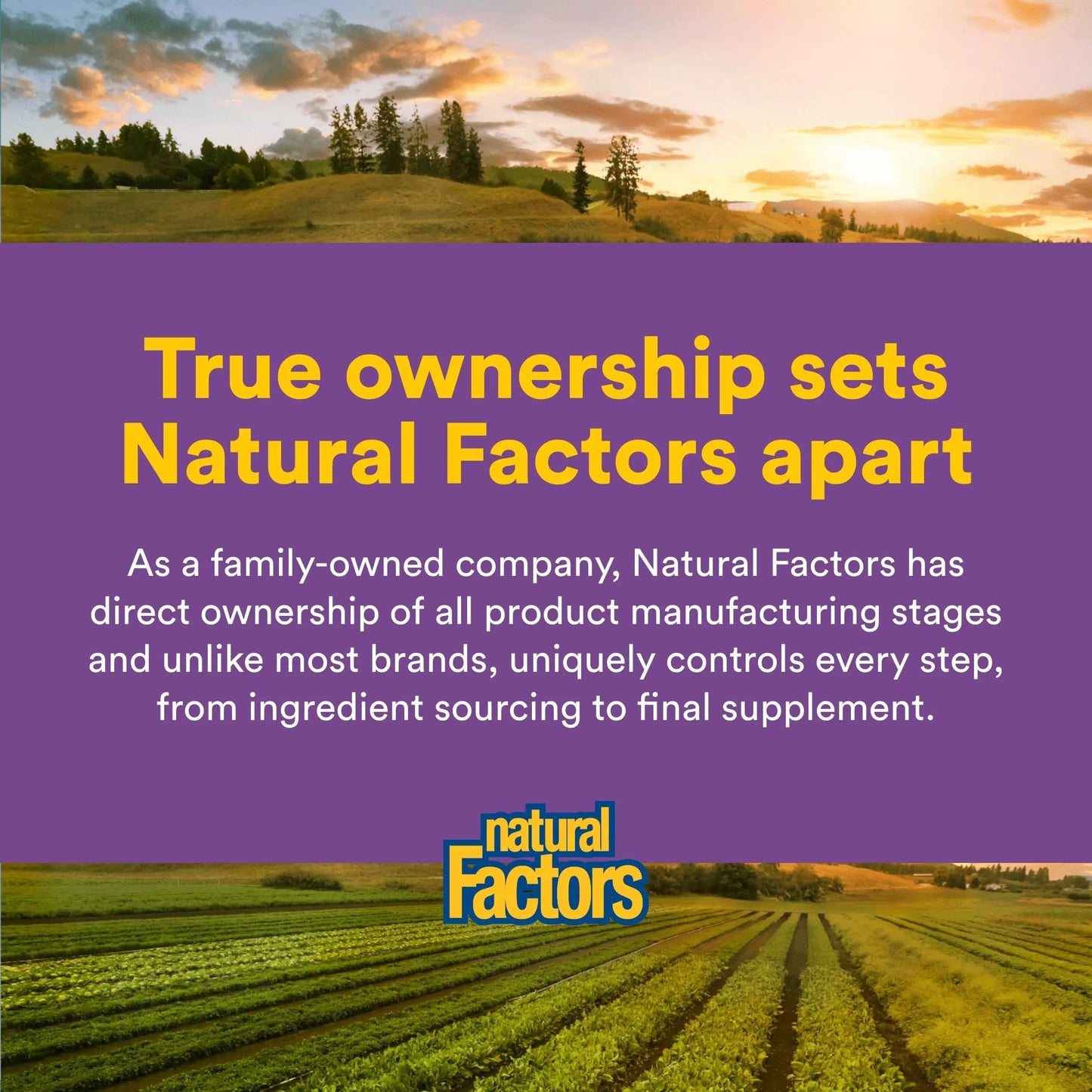 Natural Factors Pharma GABA - Dietary Supplement Supports Calm Sleep & Sleep Quality - Natural, Fast-Working Supplement Aids Focus & Brain Health - 60 Chewable Tablets (60 Servings) Natural Factors buy supplements Au