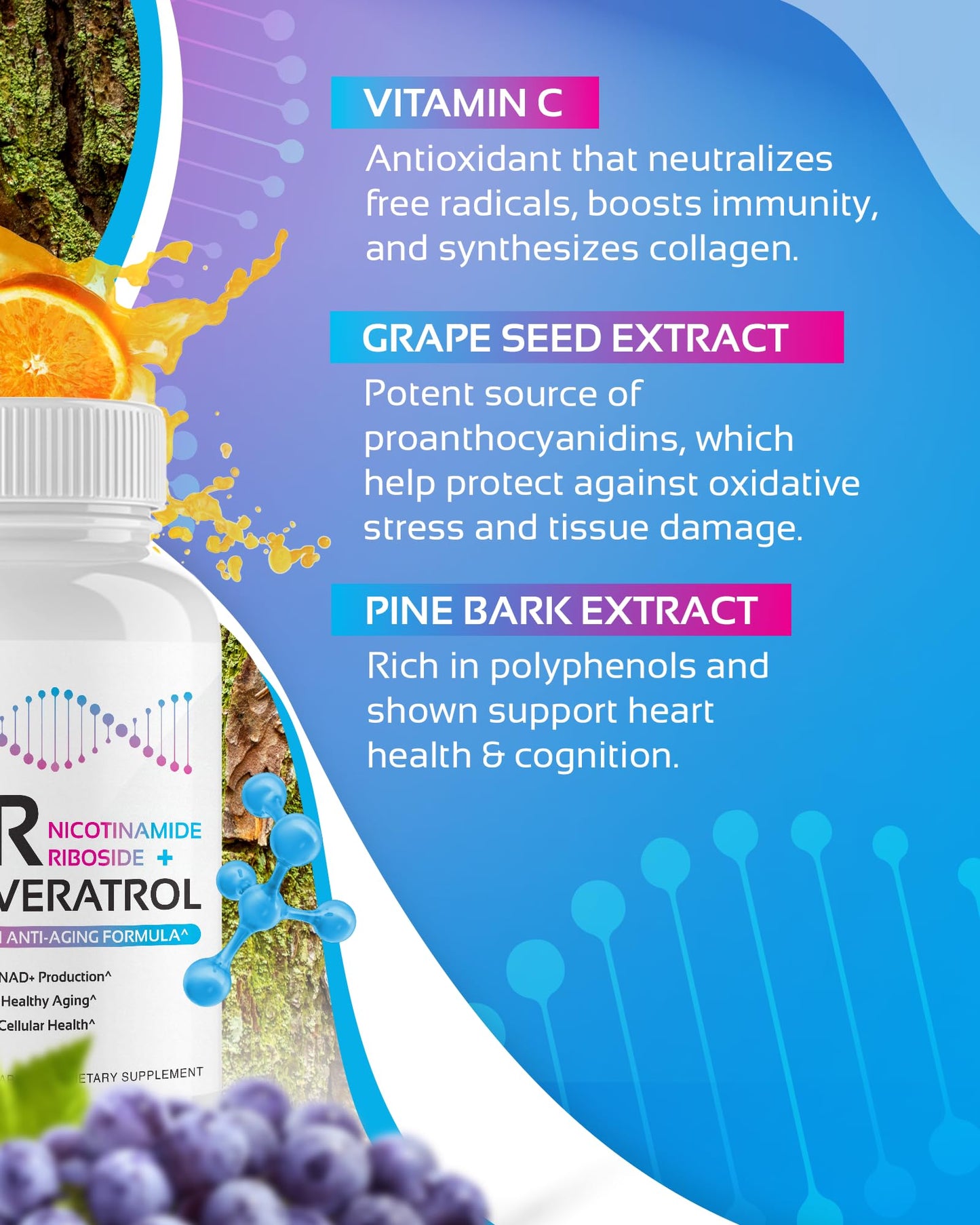 NR + Resveratrol Supplement - Increase NAD, DNA & Cellular Health, Longevity, Vitality. 5-in-1 Anti Aging Formula w/ Nicotinamide Riboside, Trans Resveratrol, Vitamin C, Grape Seed, Pine Bark CogniTuneBuy Supplements Australia