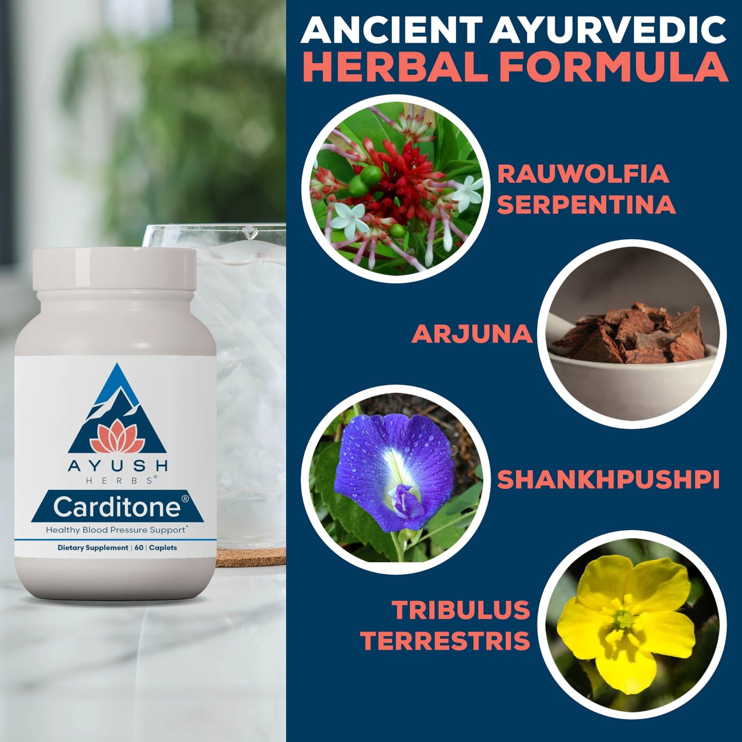Ayush Herbs Carditone - Natural Heart Health Supplement for Women & Men, BP Formula, Holistic Heart Support with Rauwolfia, Arjuna, Calcium