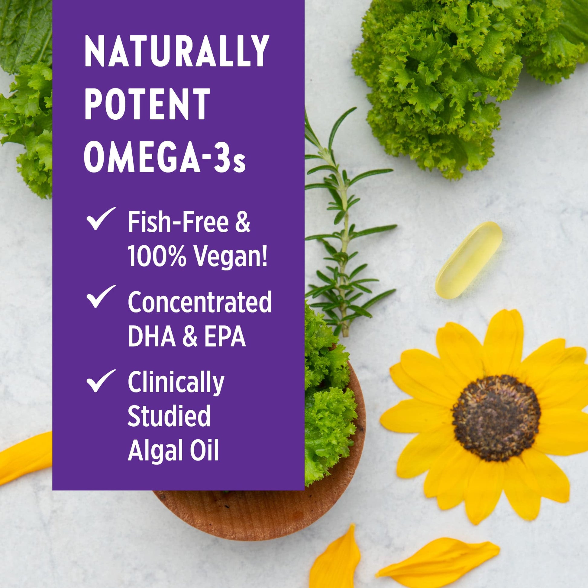 New Chapter Vegan Prenatal DHA, EPA, and DPA Supplement- Prenatal Vegan Omega-3 New Chapter