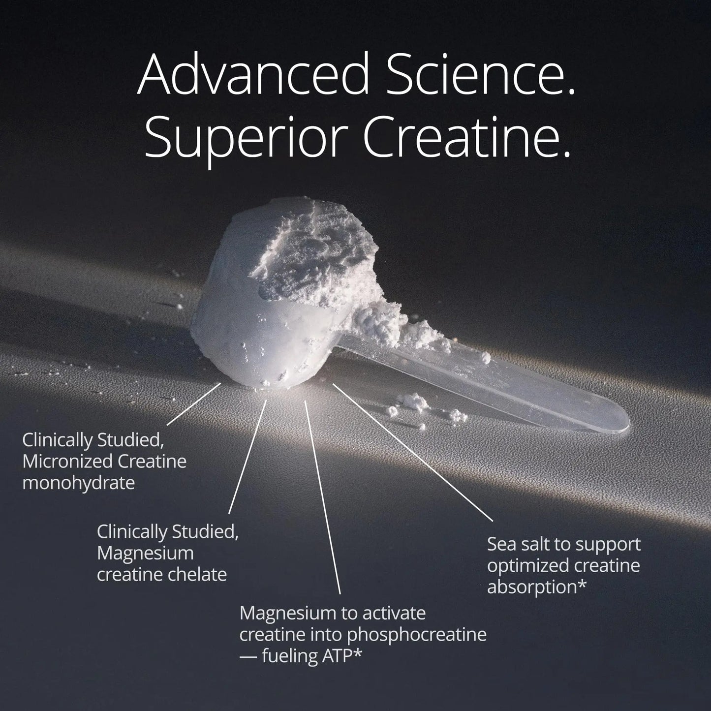 Qualia Creatine | Advanced Creatine Complex | 2 Sources + Magnesium | Optimized Absorption | Muscle Performance, Brain Function, & Healthy Aging (30 Servings) QUALIA LIFE SCIENCES buy supplements Au