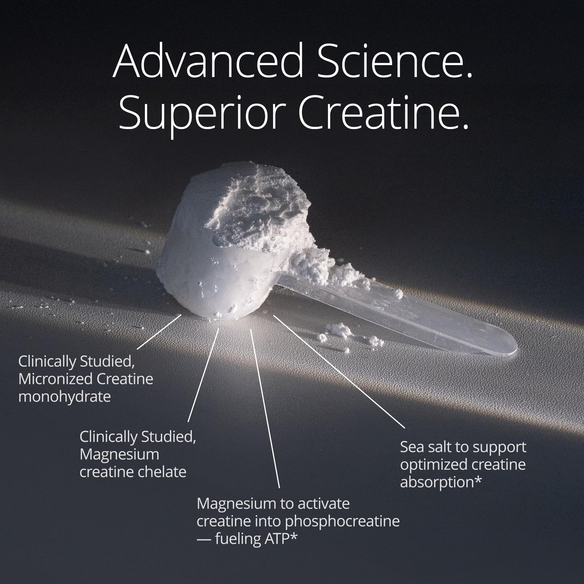 Qualia Creatine | Advanced Creatine Complex | 2 Sources + Magnesium | Optimized Absorption | Muscle Performance, Brain Function, & Healthy Aging QUALIA LIFE SCIENCESBuy Supplements Australia