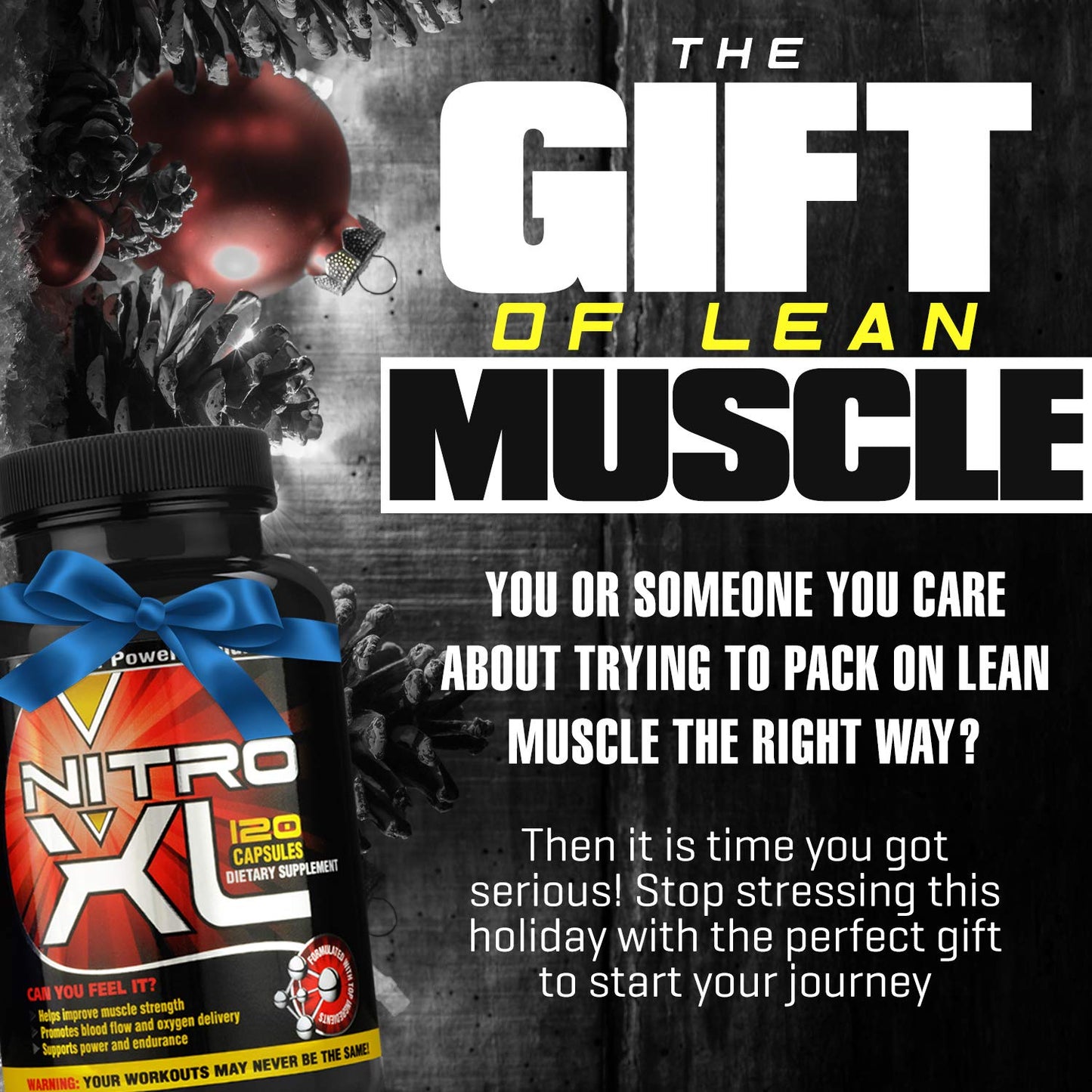 Nitro XL | Nitric Oxide Bodybuilding Supplement – with L-Arginine | Build Muscle Mass – Get Ripped – Boost Performance – Increase Endurance & Stamina – Intensify Your Workout | 120 caps
