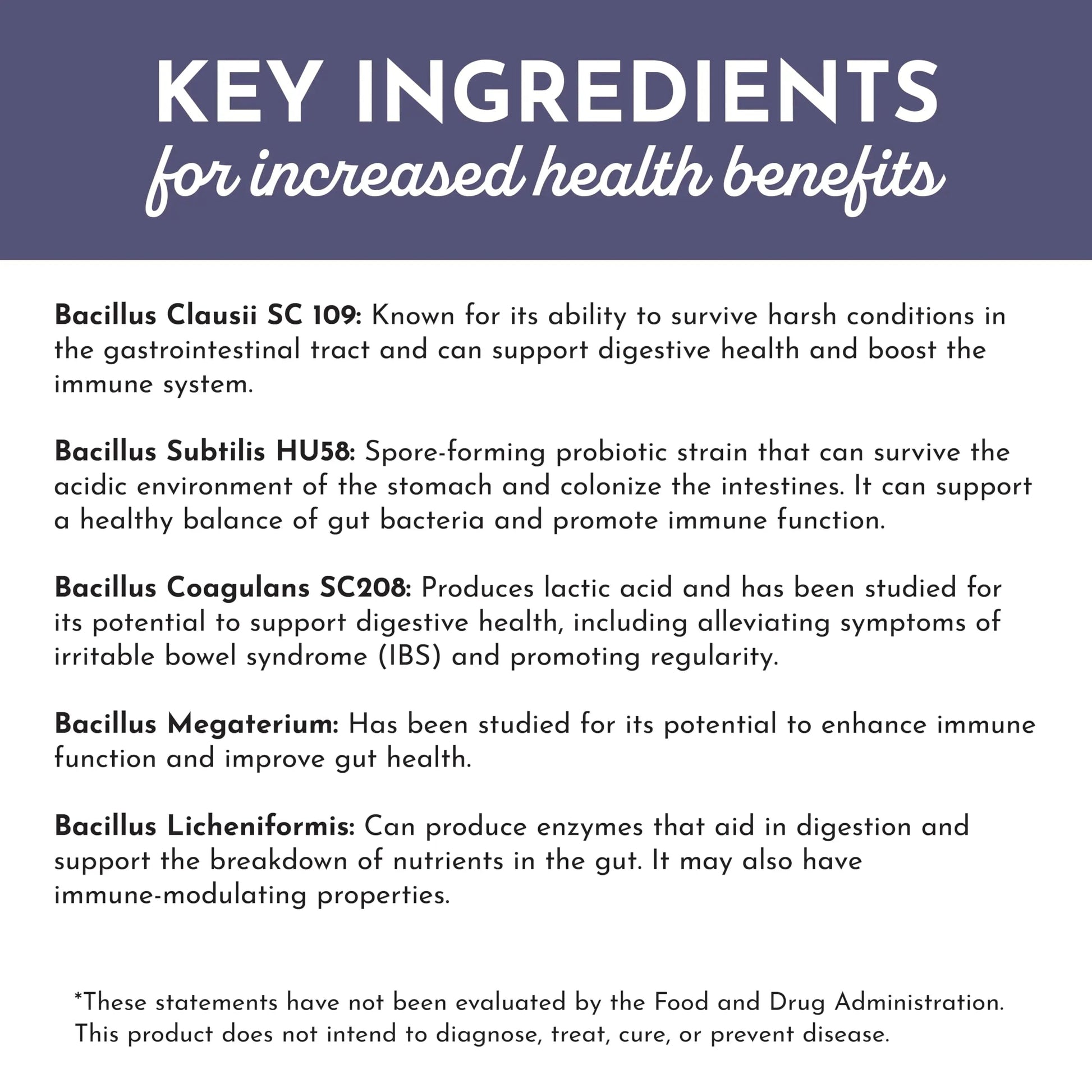 JUST INGREDIENTS Elderberry Lemonade 3-in-1 Probiotic Complex - Prebiotics, Probiotics & Postbiotics - 30 Sticks JUST INGREDIENTSBuy Supplements Australia