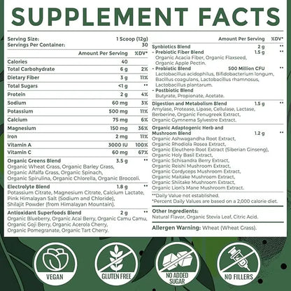 Super Greens Powder Superfood + Electrolytes & Tonic Herbs | Organic Greens, Shilajit, Adaptogens, Antioxidants, Preobiotic & Probiotic & Postbiotic| for Energy, Gut & Immune| Unflavored - 30 Servings Sundhedsliv buy supplements Au