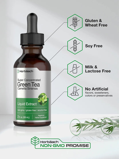 Green Tea Extract Liquid | 2 Fl Oz | Alcohol Free, Vegetarian Tincture | Super Concentrated Horbäach