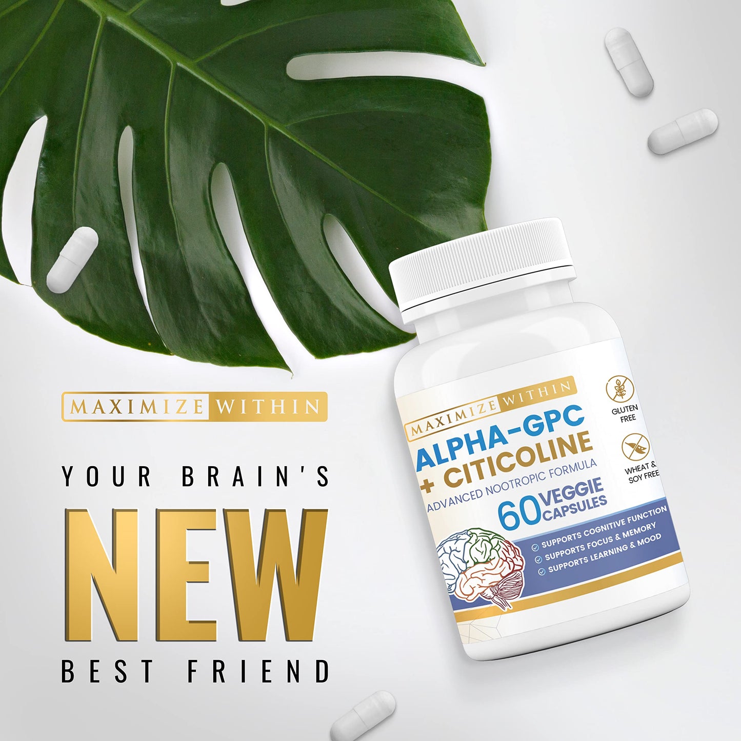 Maximize Within Alpha GPC + Citicoline 60 Ct, 1600mg Concentrated Formula- 99%+Highly Purified & Bioavailable Nootropic-Cognitive Enhancer, Supports Memory, Brain Function, Boosts Focus, Mood & Energy Maximize WithinBuy Supplements Australia
