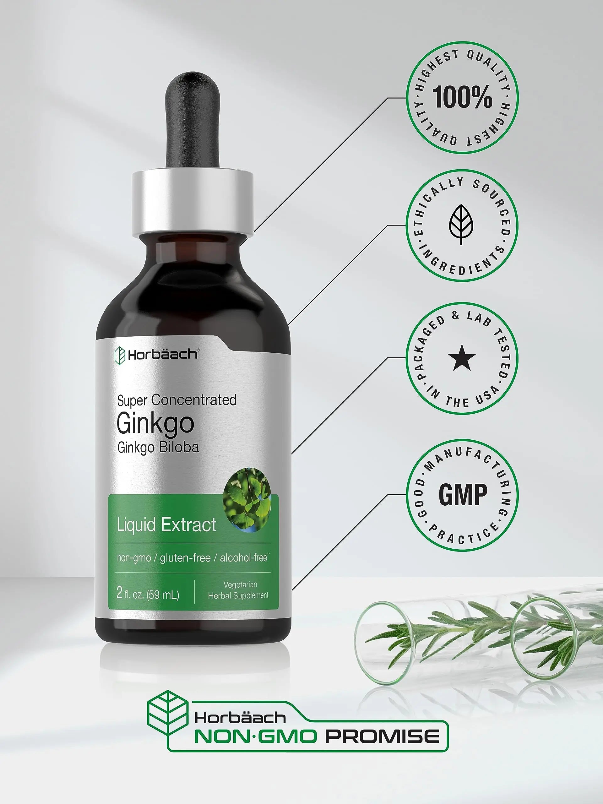 Ginkgo Biloba Extract Liquid 2 fl oz | Alcohol-Free Herb Supplement | Vegetarian Horbäach