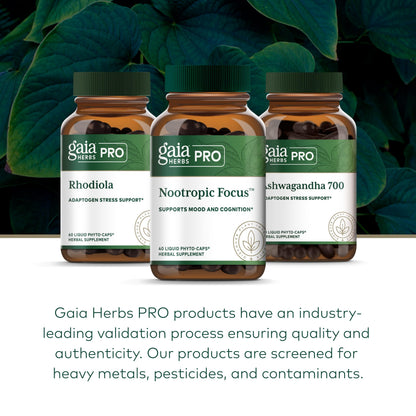 GAIA HERBS PRO Nootropic Focus - Brain Health Support Supplement* - Nootropic Supplement with Saffron, Ginkgo Leaf Extract & Lemon Balm - Vegan, Gluten-Free - 40 Liquid Phyto-Caps (20 Servings) Gaia Herbs PROBuy Supplements Australia