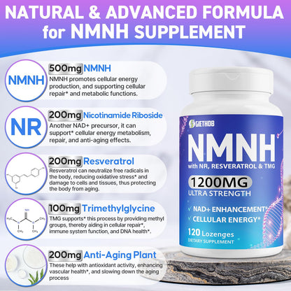 Wriayrui Sublingual NMNH (Dihydronicotinamide Mononucleotide), NMN Supplement Alternative, NAD+ Levels as We Age, Anti-Aging, Energy, NAD Resveratrol Supplement with w/NR, Resveratrol & TMG 120 Count WriayruiBuy Supplements Australia