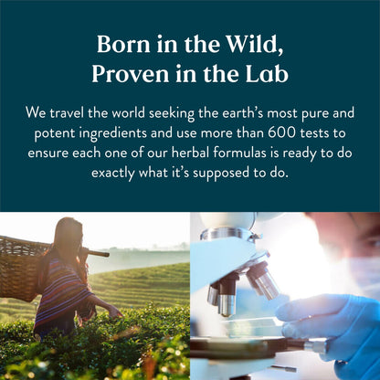 Nature's Sunshine Prenatal, 120 Tablets | Prenatal Vitamin Provides a Combination Nature's Sunshine