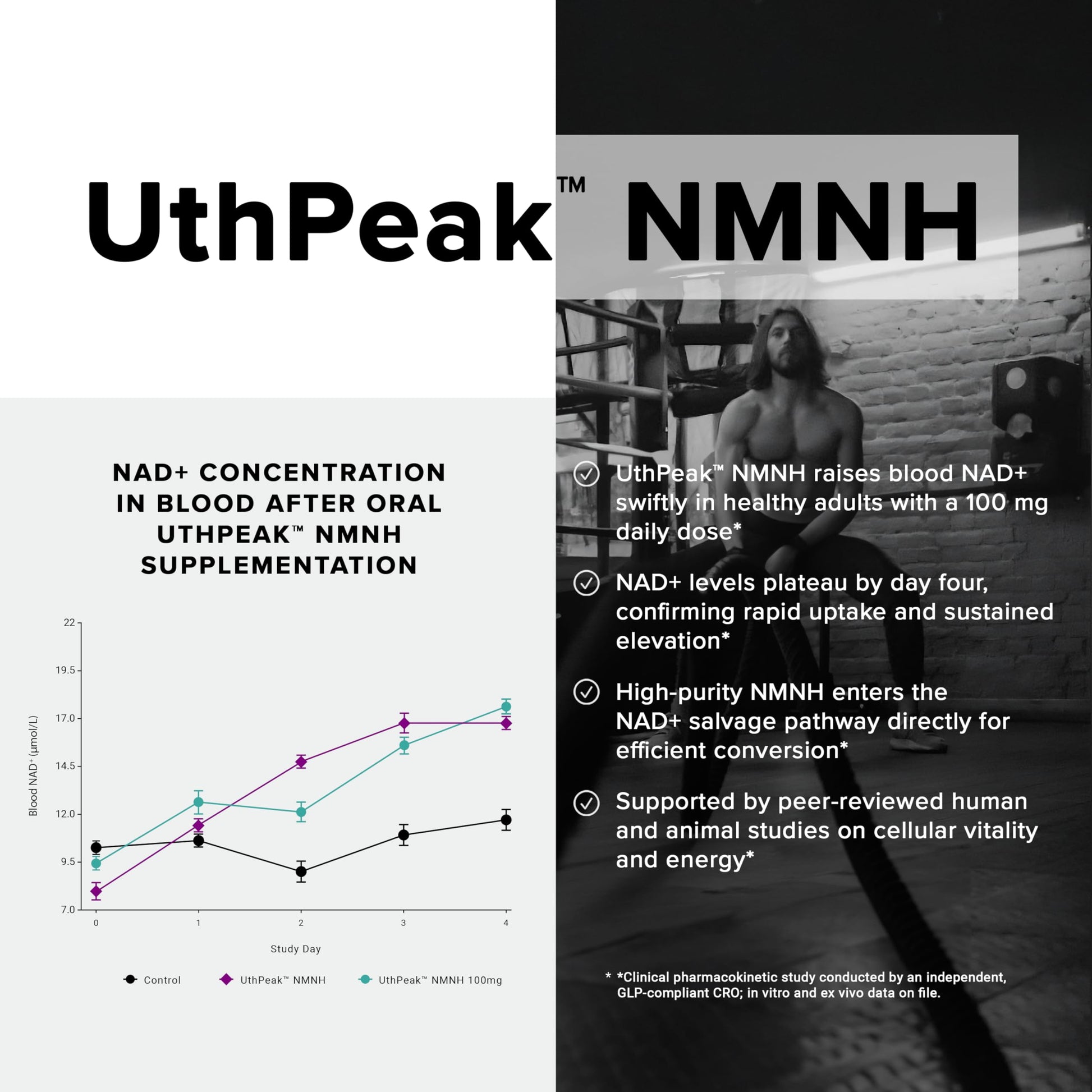 Toniiq NMNH Supplement – Ultra High Potency 1,000mg Complex with Clinically Studied Uthpeak™ NMNH, Resveratrol, Quercetin & TMG – Highly Purified – Third-Party Lab Tested – 60 Capsules ToniiqBuy Supplements Australia