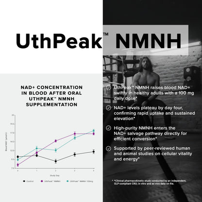 Toniiq NMNH Supplement – Ultra High Potency 1,000mg Complex with Clinically Studied Uthpeak™ NMNH, Resveratrol, Quercetin & TMG – Highly Purified – Third-Party Lab Tested – 60 Capsules ToniiqBuy Supplements Australia