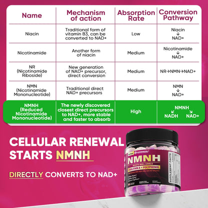 NMNH Gummies 300MG for Longevity with Urolithin A, Polyphenol Blend, Resveratrol, NAD+ Supplement for Women & Men Boost NAD+ Levels, Optimized Aging, Cell, DNA Repair, Energy, Focus, Sugar Free, 60cts NextdiaBuy Supplements Australia
