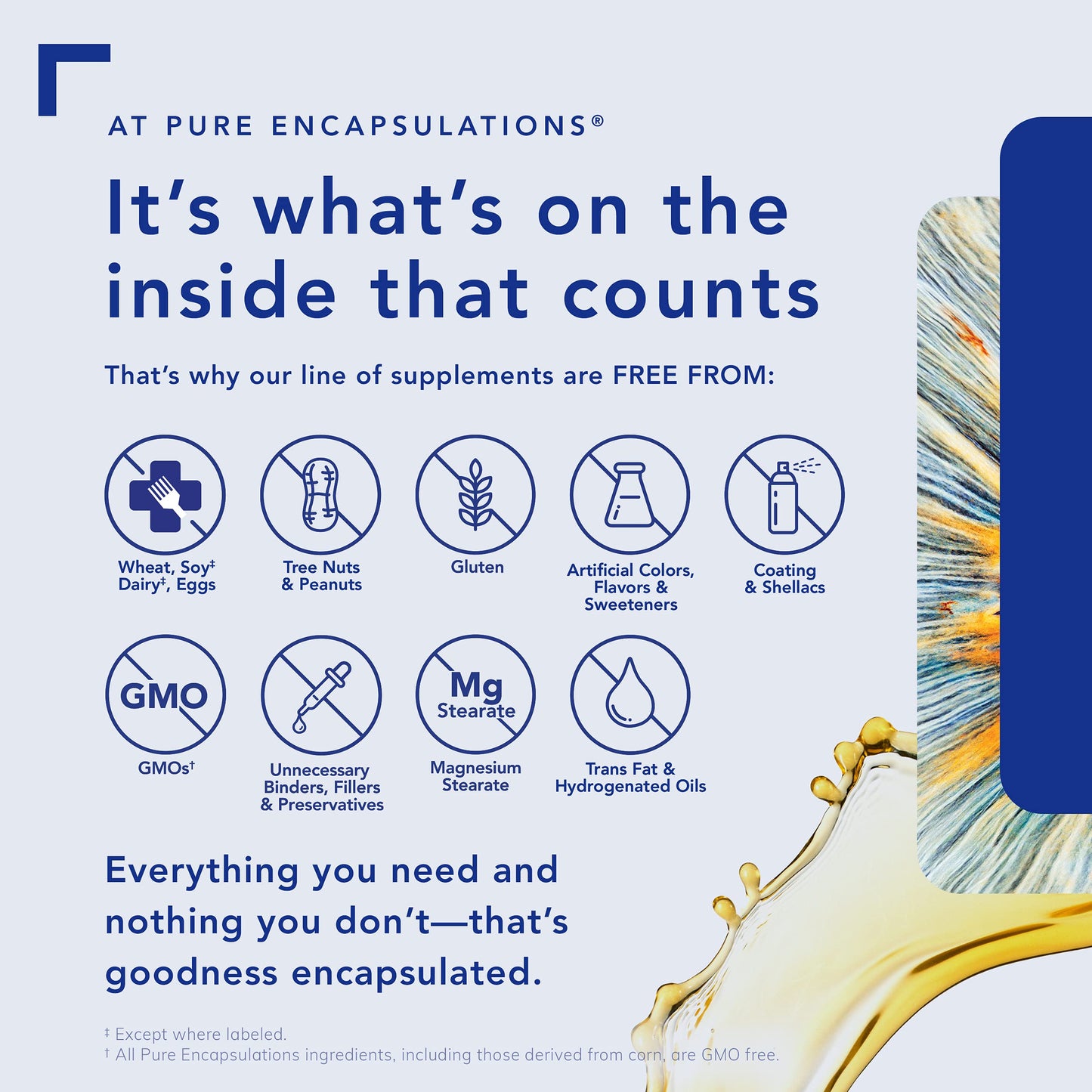 Pure Encapsulations Berberine UltraSorb | Enhanced Absorption Berberine | 60 Capsules Pure EncapsulationsBuy Supplements Australia