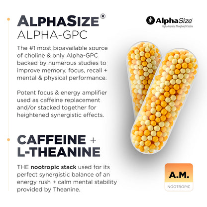 AMPM Nootropic Total Focus + Calm 9X Strength w. Caffeine, L-Theanine, Alpha GPC, L-Tyrosine, Ashwagandha - X-Release Energy Pills Nootropics Brain Support Supplements for Memory and Focus Supplement TERRA ELMNTBuy Supplements Australia