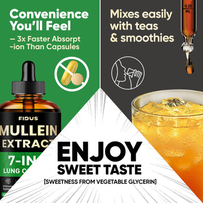 Mullein Drops for Lungs, 120 Servings - Mullein Leaf with 7 Herbs Echinacea, Oregano, Ginger, Elderberry, Marshmallow Root & Thyme - Lung Detox for Smokers