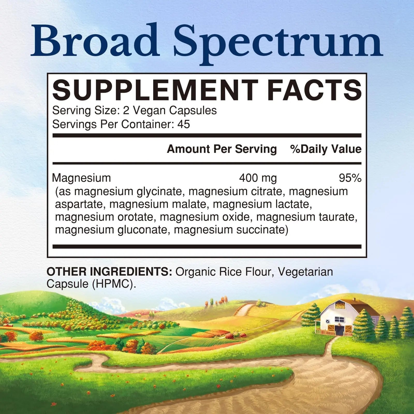 Vitalitown 10 in 1 Magnesium Complex Supplement - 400mg Elemental Magnesium Chelated with Glycinate, Citrate, Malate, Taurate & More - for Sleep Heart Energy - Non-GMO, Vegan, 90 Caps Vitalitown buy supplements Au