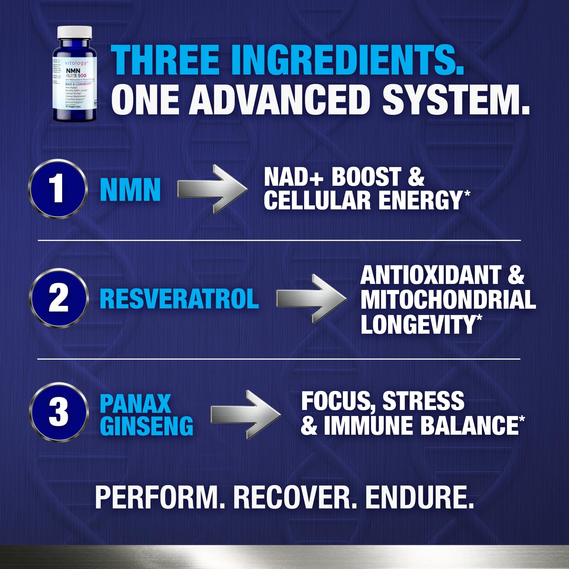 Vitology NMN Elite 500 – NMN 500mg, Resveratrol 200mg, Panax Ginseng 300mg – NAD+ Cellular Energy & Longevity Support Supplement – Focus, Vitality & Anti-Aging Formula – Non-GMO, Vegan Capsules VitologyBuy Supplements Australia