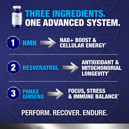 Vitology NMN Elite 500 – NMN 500mg, Resveratrol 200mg, Panax Ginseng 300mg – NAD+ Cellular Energy & Longevity Support Supplement – Focus, Vitality & Anti-Aging Formula – Non-GMO, Vegan Capsules VitologyBuy Supplements Australia