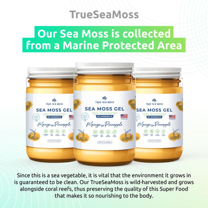 TrueSeaMoss Wildcrafted Irish Sea Moss Gel – Nutritious Organic Raw Seamoss Rich TrueSeaMossBuy Supplements Australia