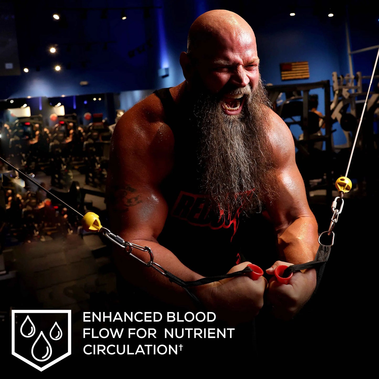 REDCON1 Big Noise RTD Pre Workout Drink, Rainbow Candy - Caffeine-Free Ready-to-Drink REDCON1