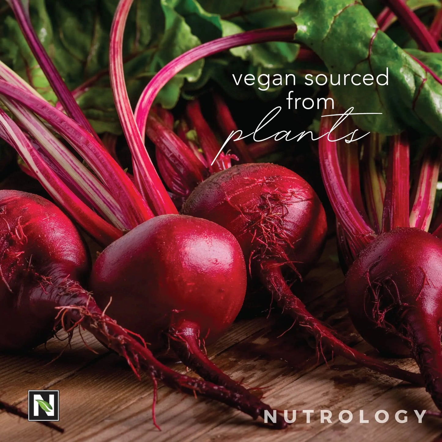 Nutrology Beet Active, Natural Pre-Workout Powder, Supports Energy, Endurance & Nitric Nutrology