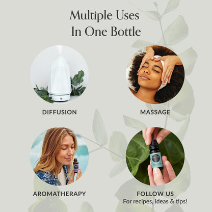 Edens Garden Essential Oil Roll-On Set (Good Night, Peppermint, Stress Less)- Aromatherapy Roller Edens GardenBuy Supplements Australia