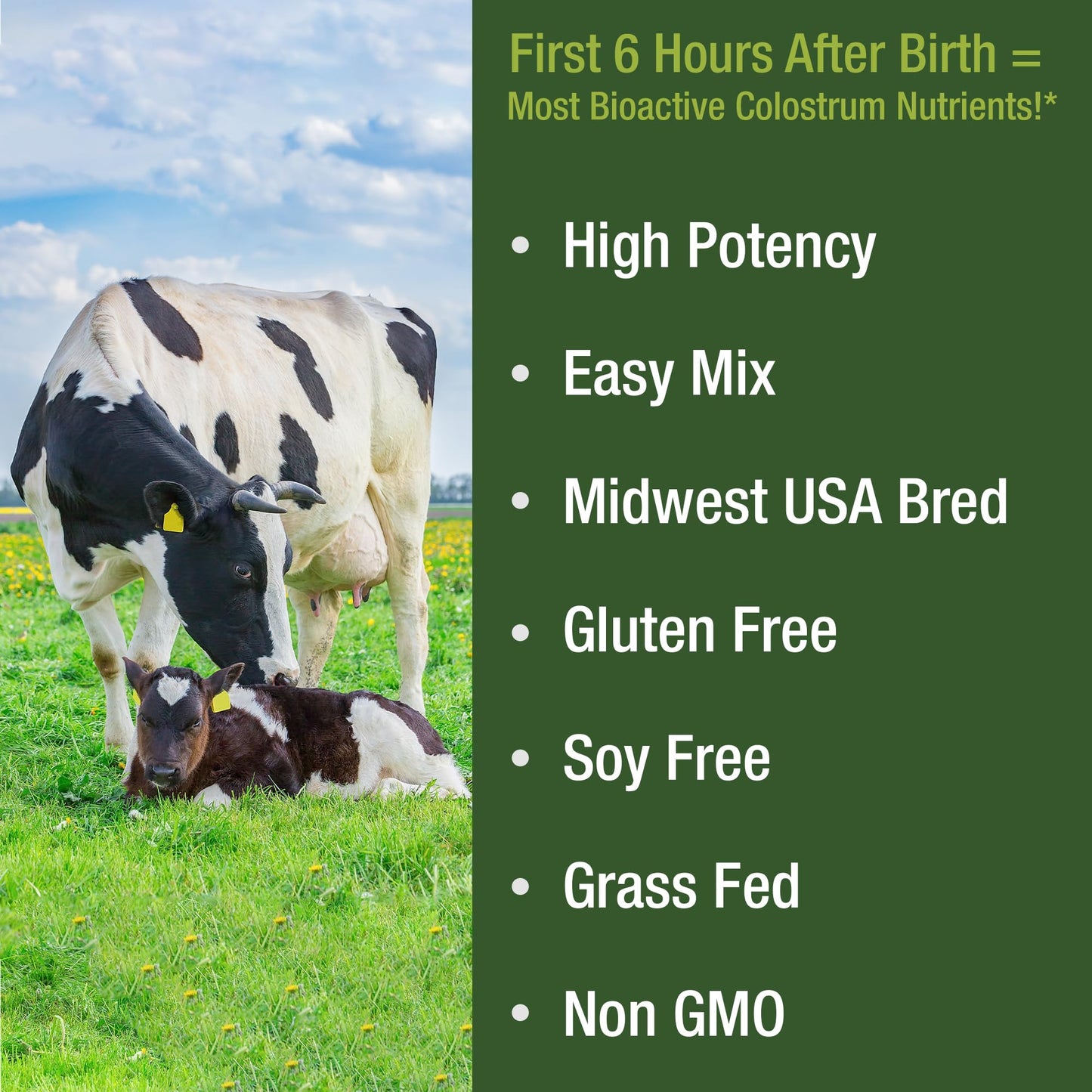 First Milking Colostrum Powder from Grass Fed USA Cows Milked Within 6 Hours of Giving Birth to Get the Most Bioactive Nutrients. High Immunoglobulin Non-GMO Bovine Colostrum Supplement for Humans Peak PerformanceBuy Supplements Australia