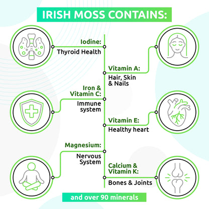 TrueSeaMoss Wildcrafted Irish Sea Moss Gel – Nutritious Organic Raw Seamoss Rich TrueSeaMossBuy Supplements Australia