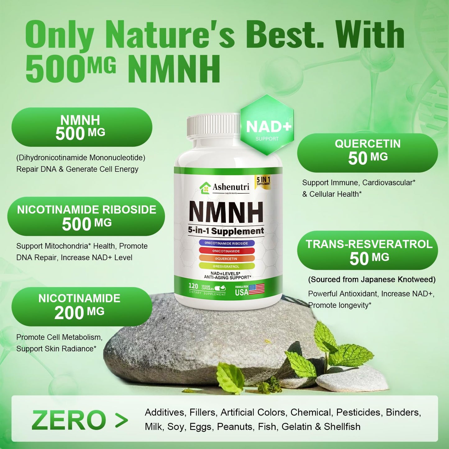 NMNH (Dihydronicotinamide Mononucleotide), NMN Alternative Supplement w/Niacinamide (Vitamin B3), Quercetin, Trans-Resveratrol, Support NAD+, Skin Cell Health*, Anti-Aging & Energy, 120 Caps AshenutriBuy Supplements Australia