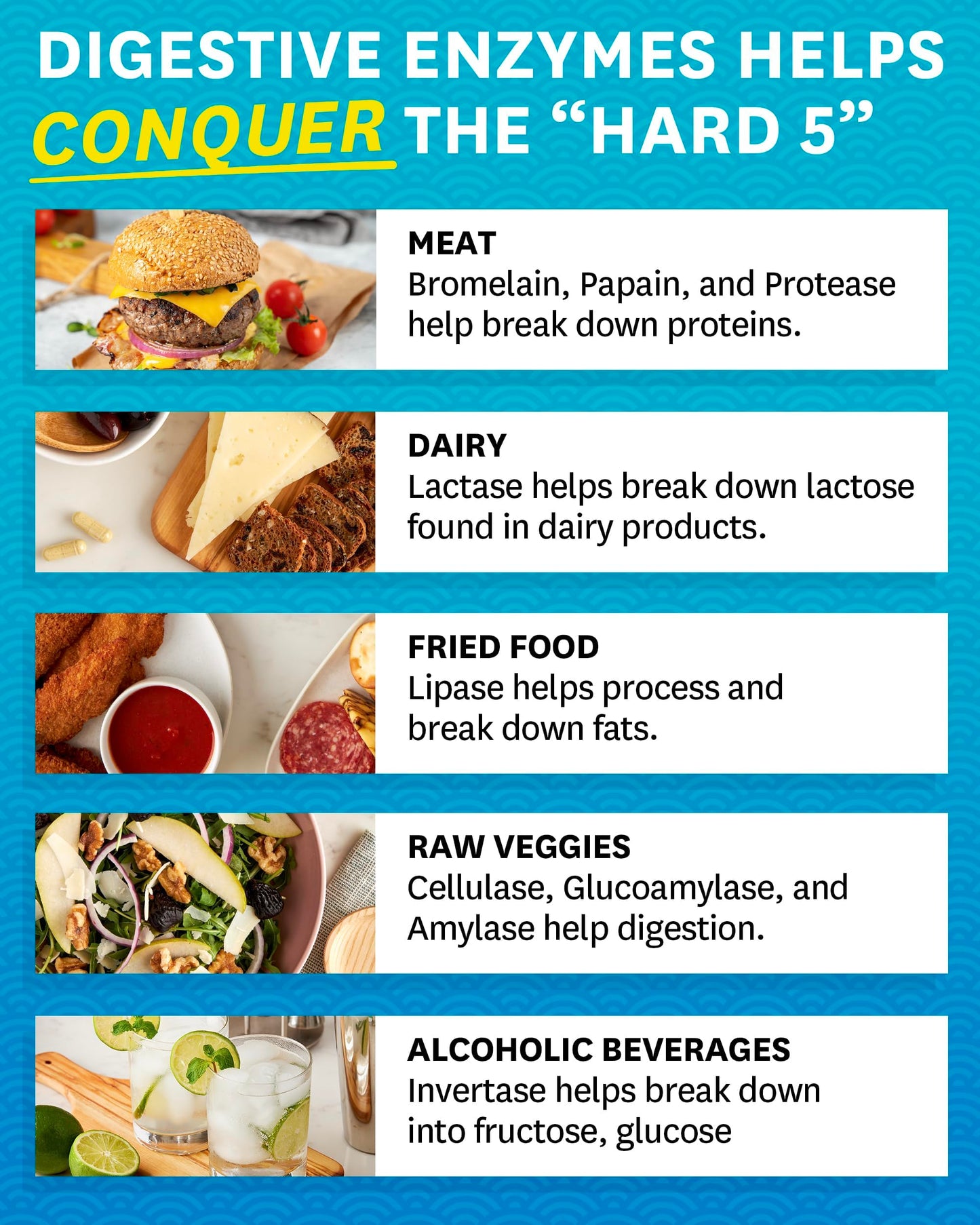 Zenwise Health Digestive Enzymes - Probiotic Multi Enzymes with Probiotics Zenwise Health