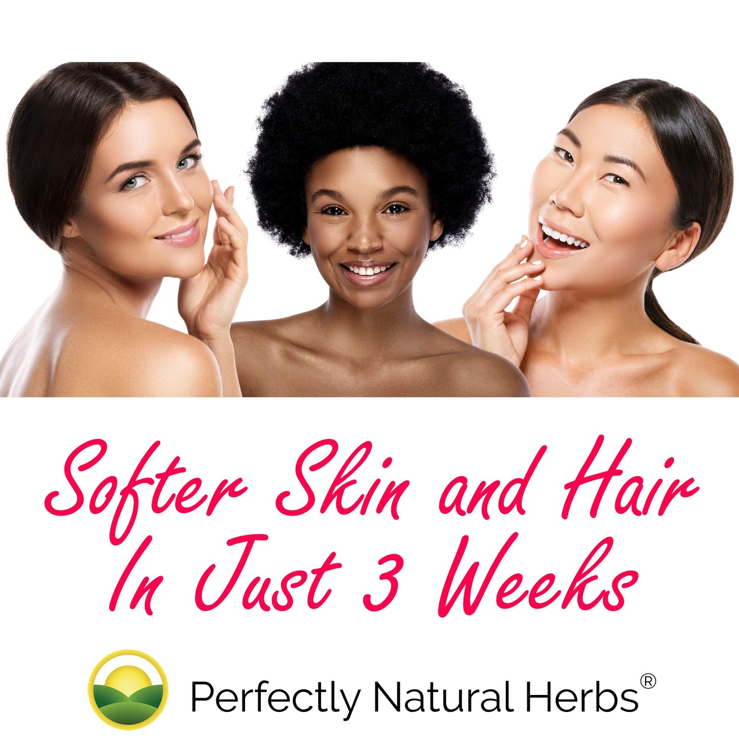 150 Moringa Capsules Made With USDA Certified Organic Moringa Leaf Powder Perfectly Natural Herbs