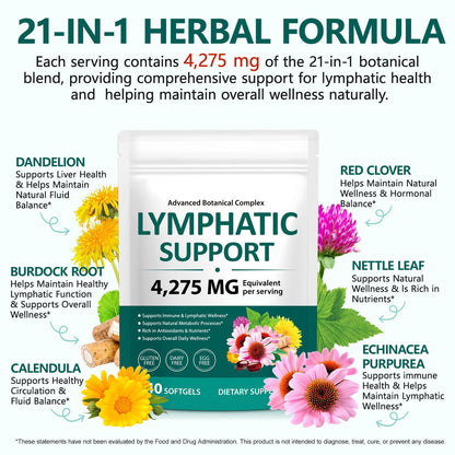 FANSHI Lymphatic Drainage Supplements 240 Softgels | Herbal Blend with Echinacea, Dandelion & Burdock Root | Promotes Healthy Circulation & Fluid Balance | Supports Overall Daily Wellness FANSHI buy supplements Au
