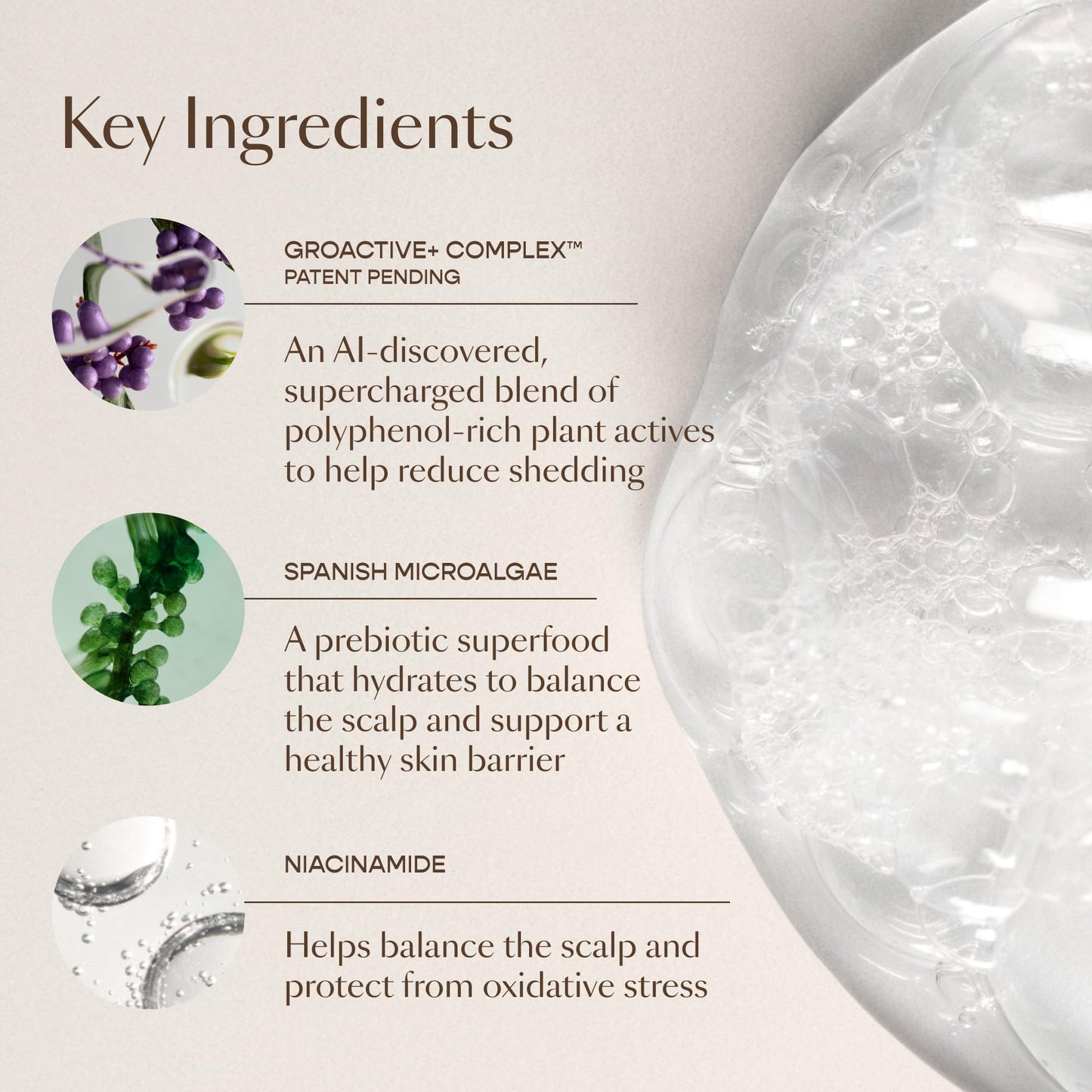 VEGAMOUR GRO+ Advanced Essentials Kit | Removes Buildup, Improves Hair Density, Reduces Shedding, Hydrates and Exfoliates the Scalp | For Severe Signs of Thinning | Color Safe, Vegan, Cruelty-Free VEGAMOURBuy Supplements Australia