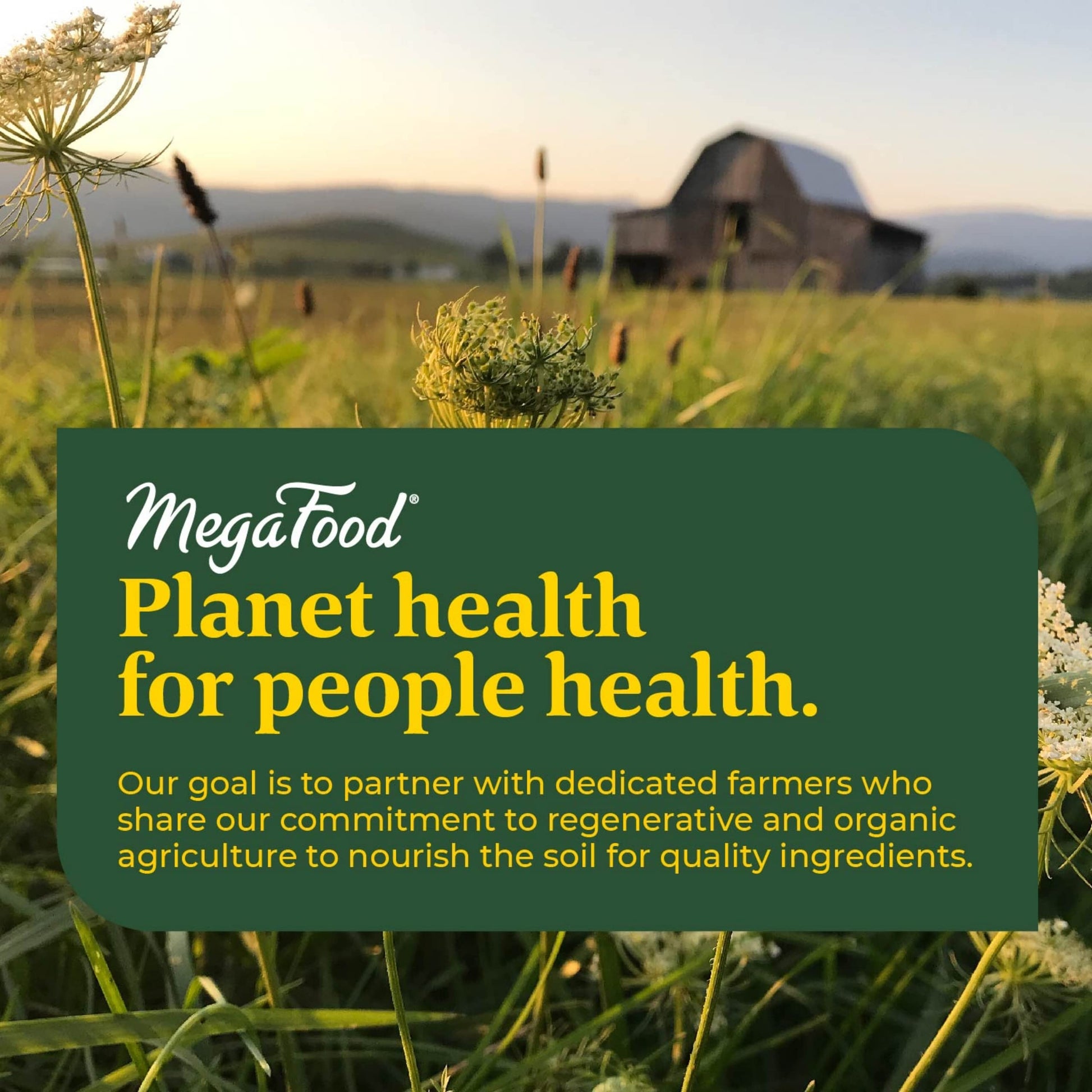 MegaFood Baby & Me 2 Prenatal Vitamin and Minerals - Vitamins for Women - with Folate MegaFood