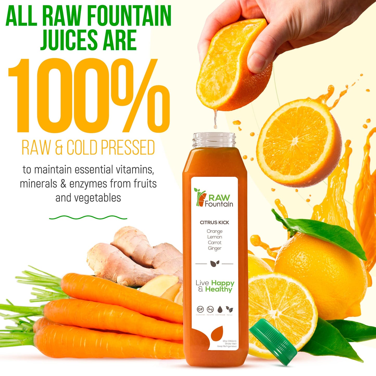 1 Day Green Juice Cleanse by Raw Fountain, All Natural Raw, Vegan Detox, Cold Pressed Raw Fountain